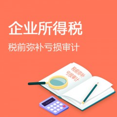 企业所得税税前弥补亏损审计