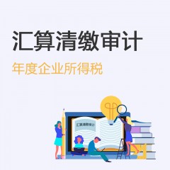 年度企业所得税汇算清缴审计